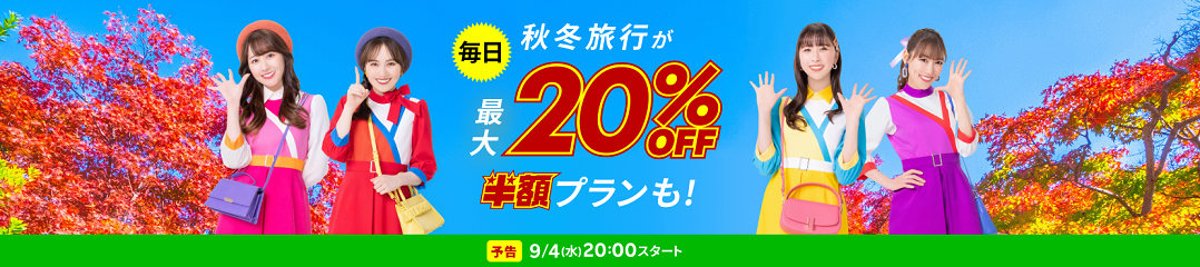 yVgxX[p[SALE\FzvƑsɐlC̏h`FbNIisj